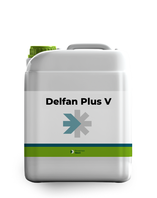 Delfan Plus V 5 L
