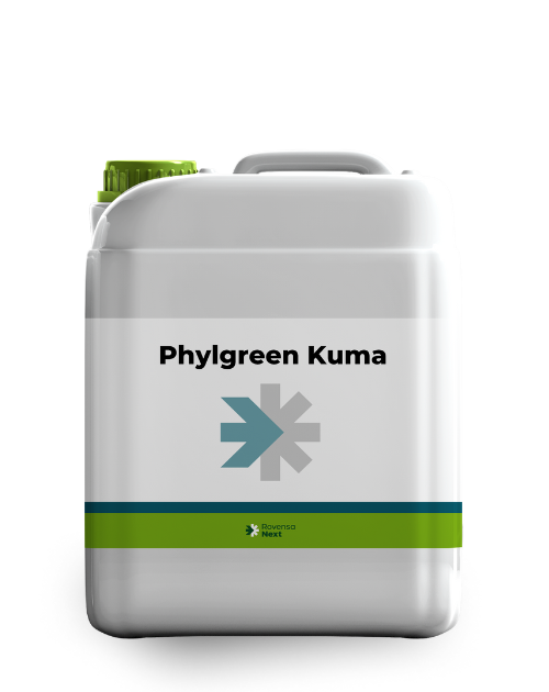 Phylgreen Kuma 5 L
