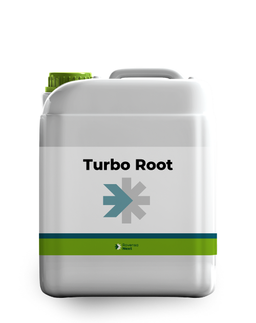 Turbo Root 5L
